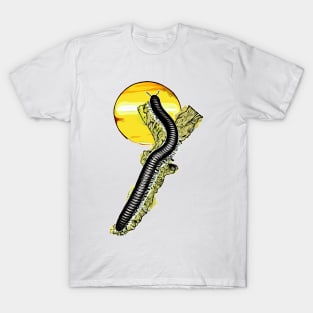 Ophistreptus guineensis sunset T-Shirt